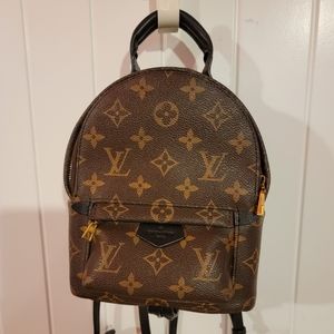 Louis Vuitton Palm springs mini backpack
